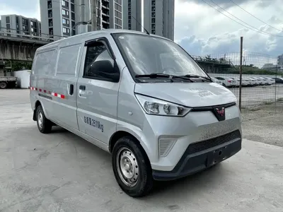 Wuling Wuling EV50