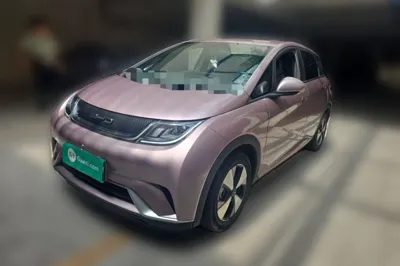 BYD Dolphin