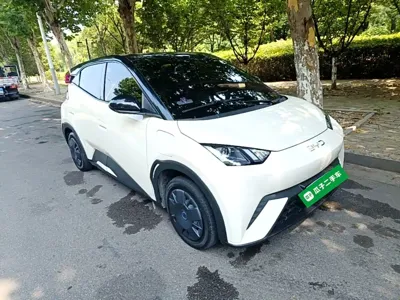 BYD Seagull