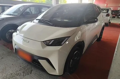 BYD Seagull