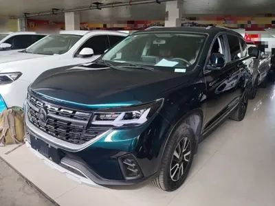Fengxing Fengxing T5