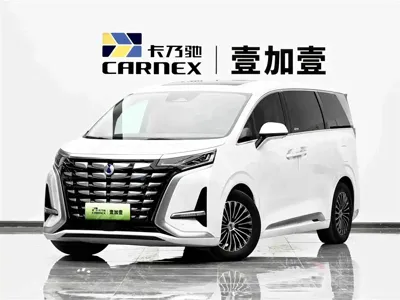 Denza Denza D9