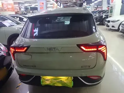 NETA Neta V