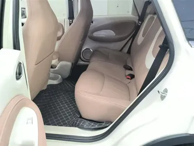 Wuling Bingo