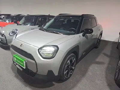 MINI MINI ACEMAN EV