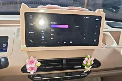 Geely Galaxy Panda