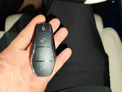 BYD L EV