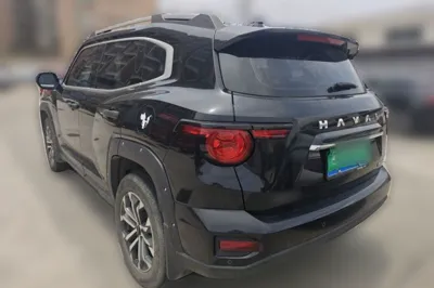 Haval H Dog
