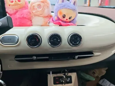 Wuling Bingo