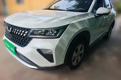 Wuling Alvez