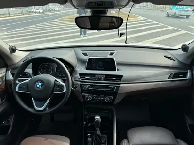 BMW X1 New Energy