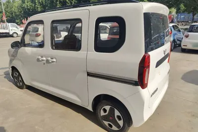Wuling Zhiguang New Energy