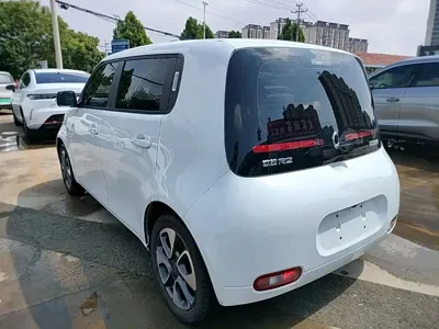 ORA Ora White Cat