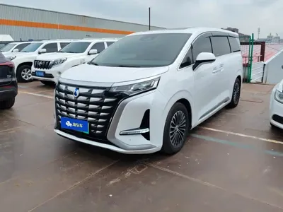 Denza Denza D9