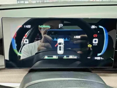 BYD Pro New Energy