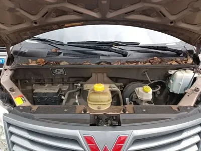 Wuling Zhengcheng Classic