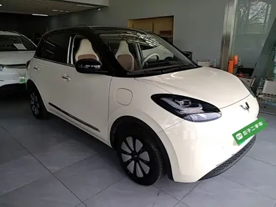 Wuling Bingo