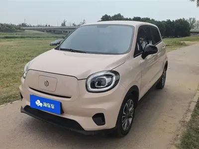 Leapmotor Leapmotor T03