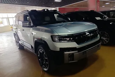 Formula Leopard Leopard 8