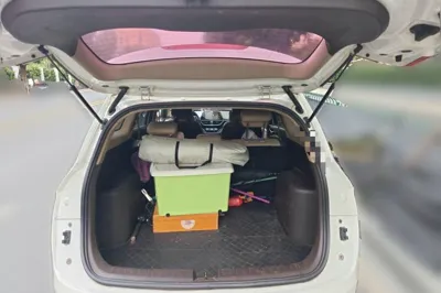 Baojun 310W