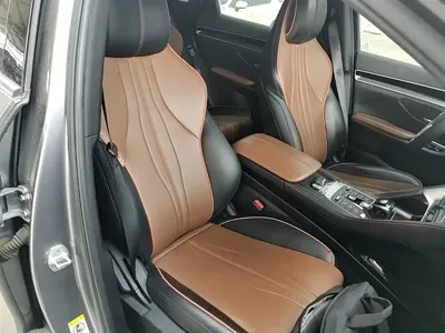 BYD PLUS