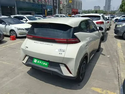 BYD Seagull