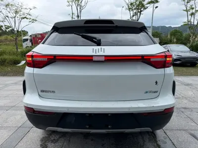 WM Motor EX5