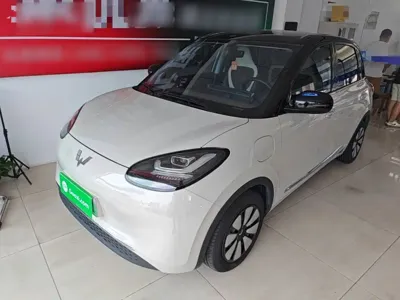 Wuling Bingo