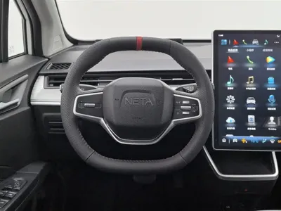 NETA Neta V