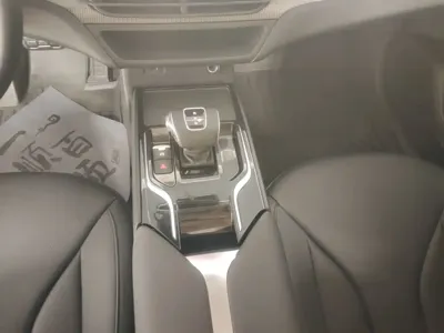 Hongqi Hongqi E-QM5