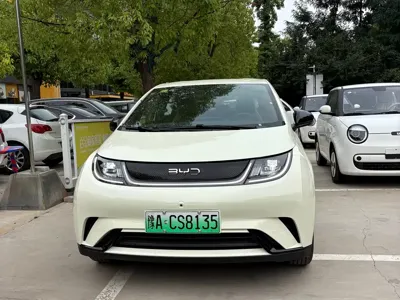 BYD Dolphin
