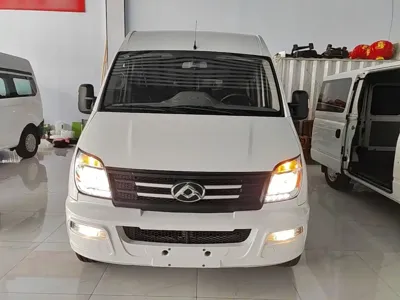 Maxus V80