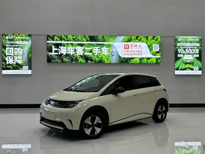 BYD Dolphin
