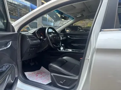 Geely Binrui