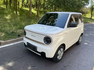 Geely Galaxy Panda