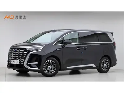 Denza Denza D9
