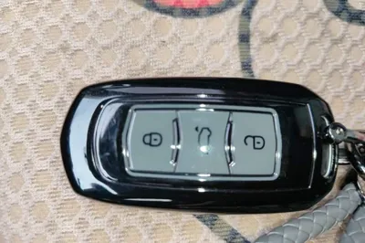 Geely Galaxy Panda