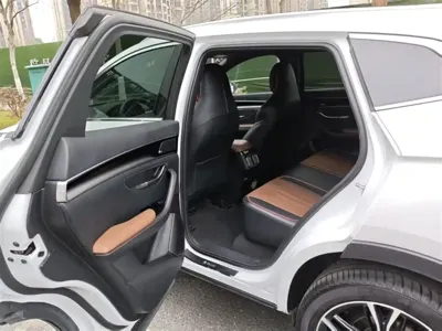 BYD PLUS