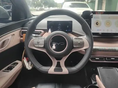 BYD Seagull