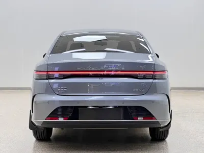 BYD Destroyer 05