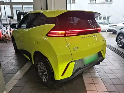 BYD Seagull