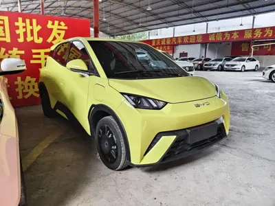 BYD Seagull