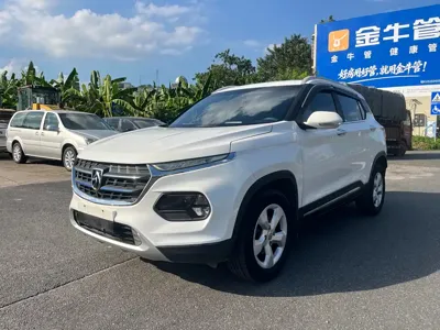 Baojun 510
