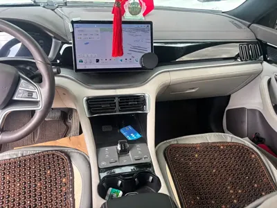 BYD PLUS New Energy