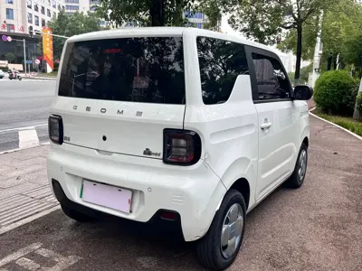 Galaxy Panda