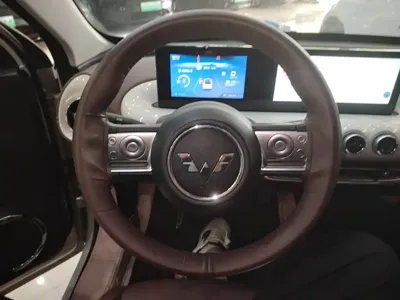 Wuling Bingo