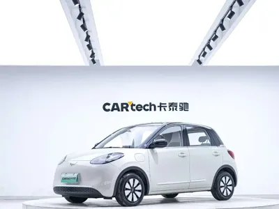 Wuling Bingo