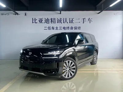 Denza 腾势N9