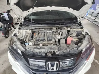 Honda Gienia