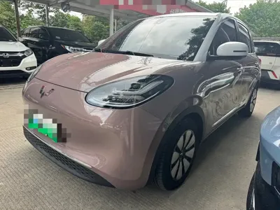 Wuling Bingo